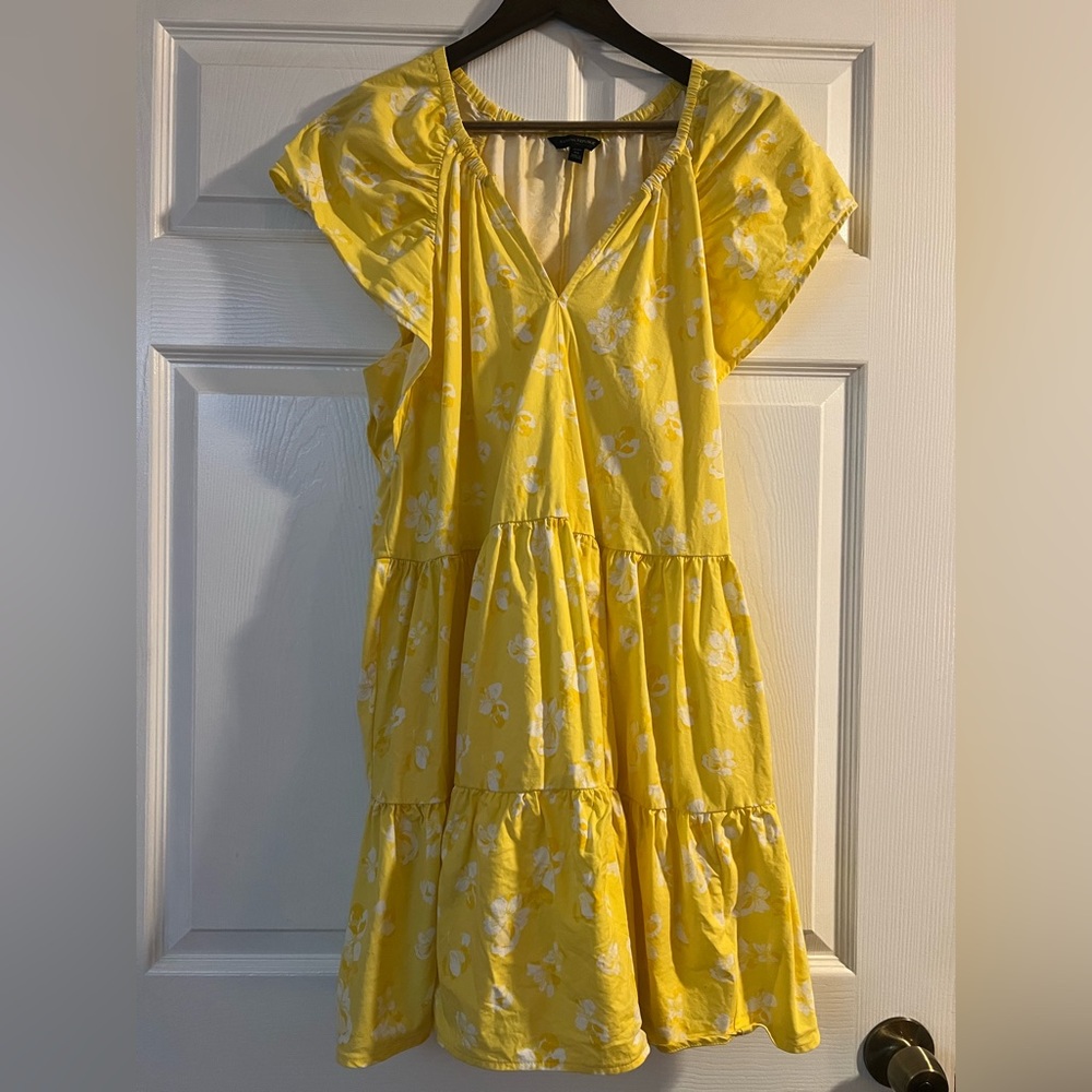 XL Banana Republic flutter sleeve sundress